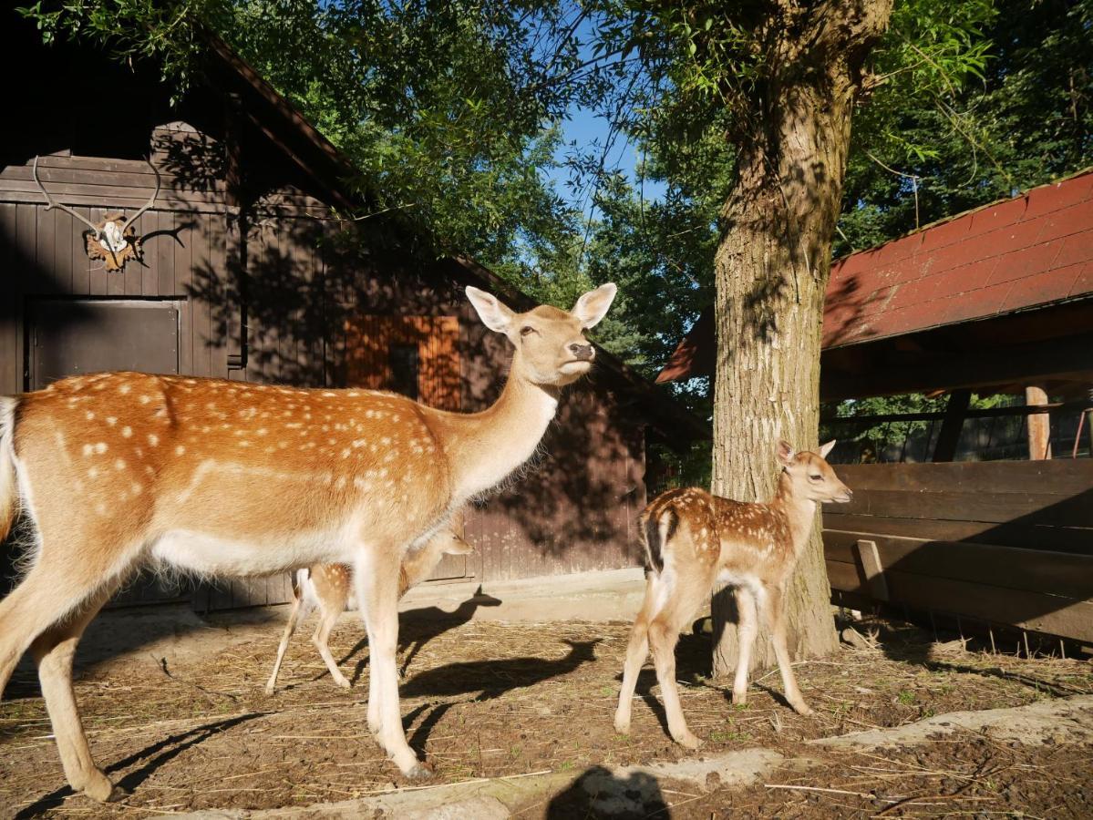 Penzion Obora Prostřední Bečva Exterior foto