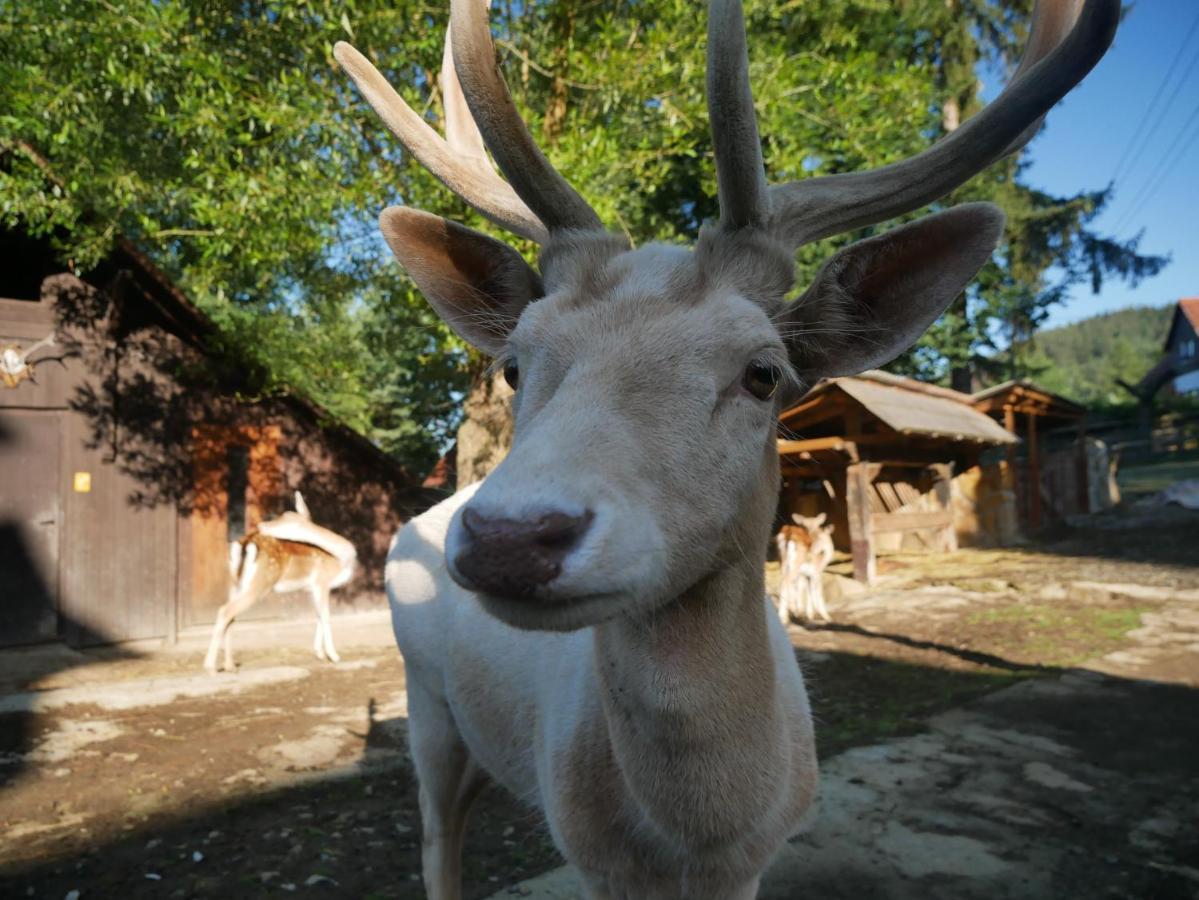 Penzion Obora Prostřední Bečva Exterior foto