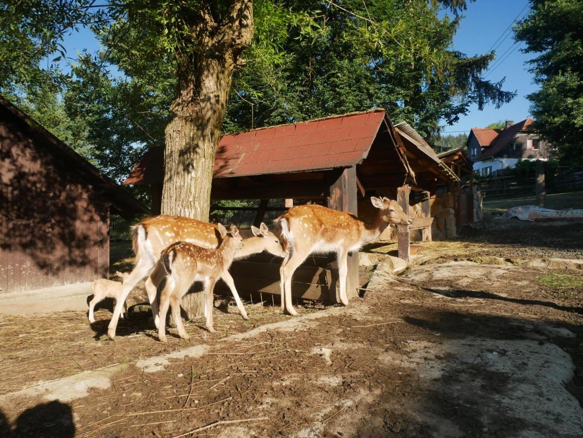 Penzion Obora Prostřední Bečva Exterior foto